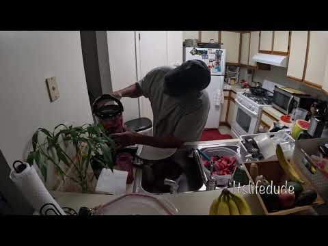 Episode  #  139  Making Watermelon:Then the Music!