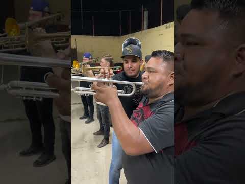 👏 ¡La Ayuda de un Amigo Hace Toda la Diferencia al Tocar la Trompeta! 🎶