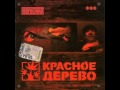 Красное Дерево Едем 08 