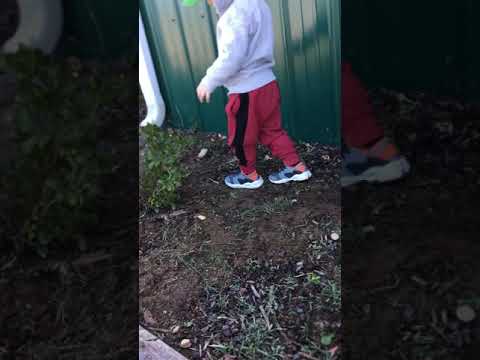 Toddler Explaining How To Weed the Flower Bed