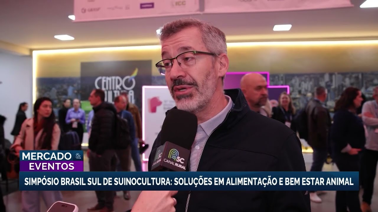 Nova tecnologia busca melhorar alimentação e bem-estar dos suínos