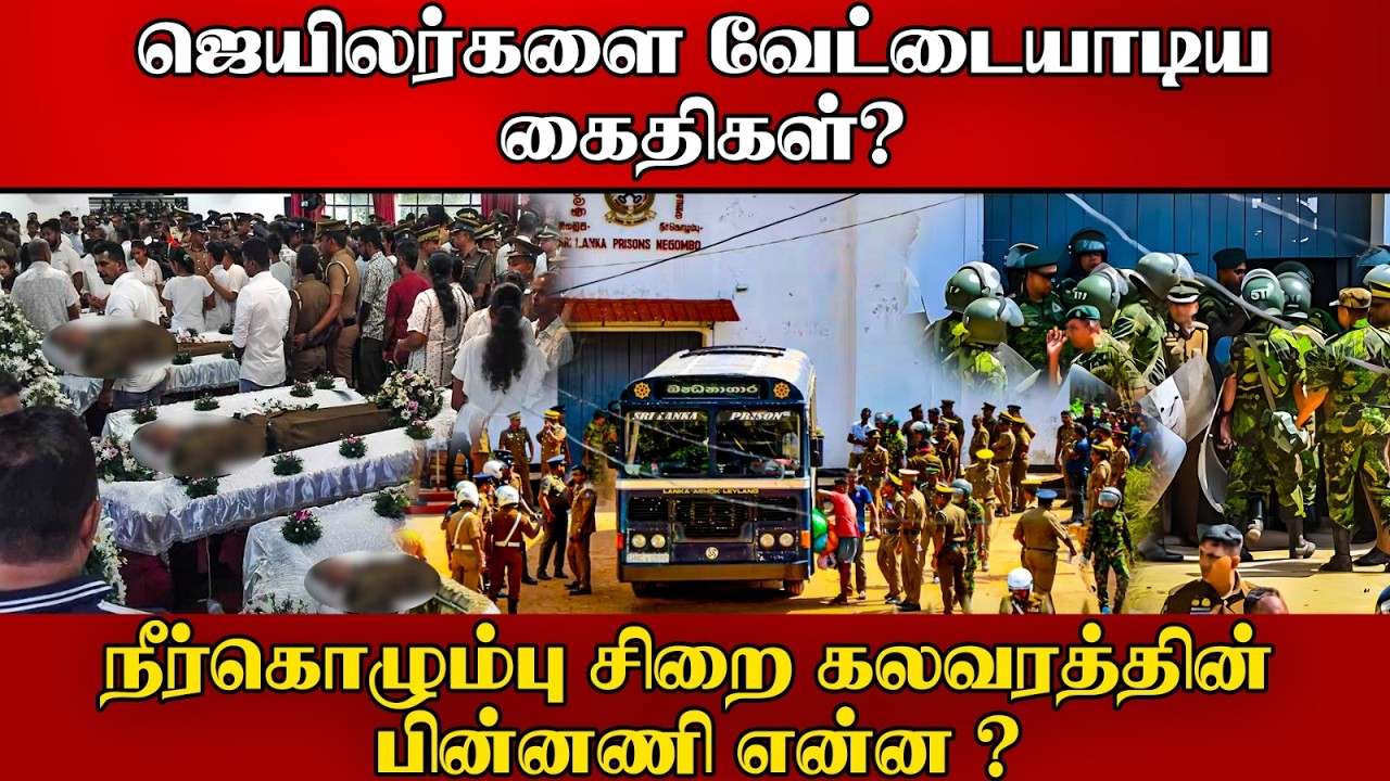 ⭕நீர்கொழும்பு சிறை படுகொலையின் பின்னணி என்ன ? | Negombo Prison
