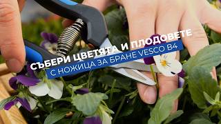 Vesco B4 - ножица за бране на дребни плодове и цветя | Лек и прецизен инструмент