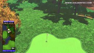 preview picture of video 'Golden Tee Great Shot on Laurel Park!'