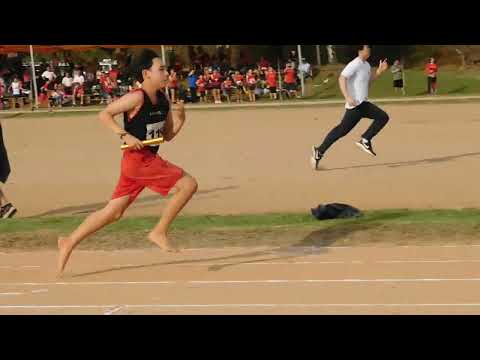 4x100m CM - Sel Infanto 2024