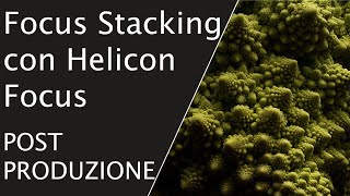Focus Stacking con Helicon Focus