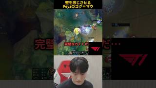 壁を感じさせるPeyzのコグ＝マウ