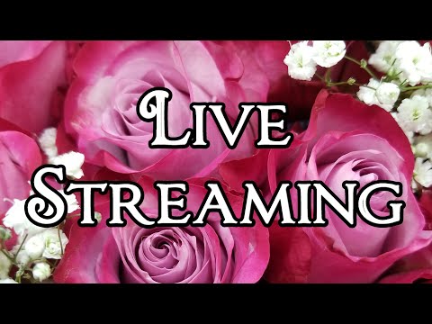 🔴 11/26/19 Livestream Crystals, Recommended Vendors, Videos for Clearing Negative Energy, COPPA