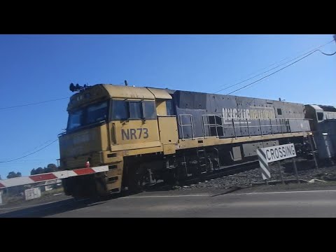 NR73 Pacific National Leading AN2 & NR24 At Wallan!