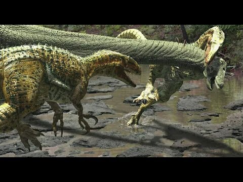 Speculative Evolution: Eocene Australia