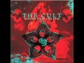 The Cult - True Believers (With Lyrics) 