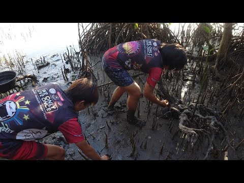 SE02EP002 Part 1 - PAGKAIN na BIYAYA ng PUTIKAN | BAKAWAN ng Malicboy, Pagbilao Quezon