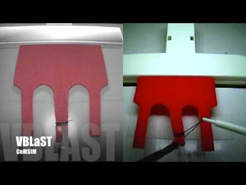 VBLaST Virtual Ligating Loop Simulator