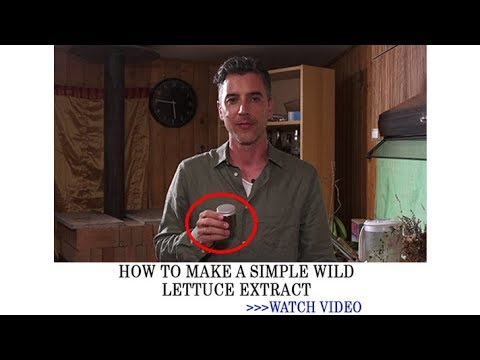 The Lost Ways - Wild Lettuce Extract