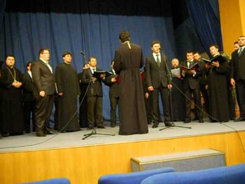 Corala barbateasca Armonia : Alei codrule