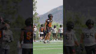 Jeremy Lewis Interception ???? #bclions #cfl #trainingcamp
