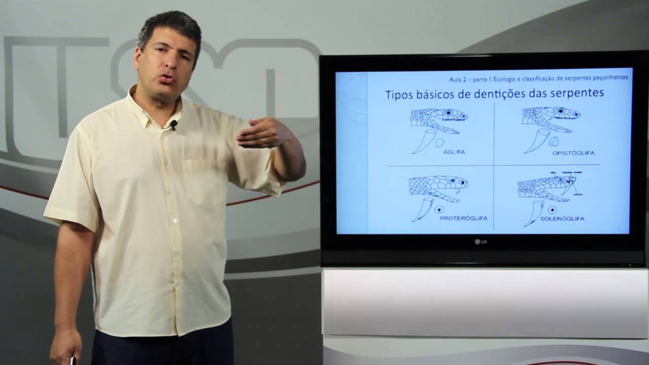 Aula 2 - parte I: Ecologia e classificação de serpentes peçonhentas