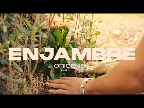 Holistiks - Enjambre