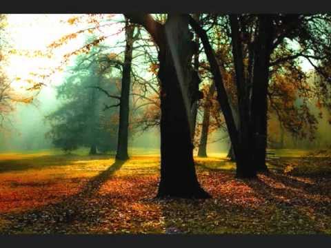 Ruggiero Leoncavallo "Valse mèlancolique"