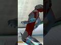 Ultraman Ribut Upin Ipin Kalah Ultraman Ultramanzero Ultramangeed Upinipin Shortvideo