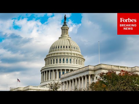 Video | WATCH LIVE: House Democratic Leaders Hold Press Briefing As Trump Demands Major Immigration Overhaul