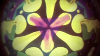 LEE MICHAELS - love (45 version)