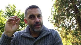 The Power of Positive Focus with Tim Whild