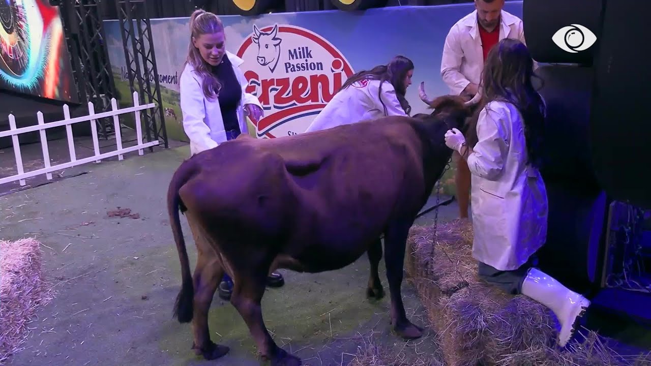 “Laertit i marrsh të ligat”/ Vijon debati mes Valbonës dhe Gertës: Unë kam burrë…