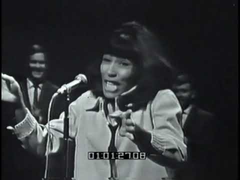 Tina Turner, Marvin Gaye & The Righteous Brothers on Shindig! - Willie and the Hand Jive - 1965