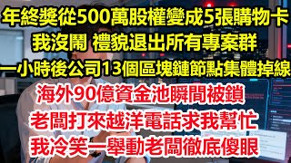 年終獎從500萬股權變成5張購物卡，我沒鬧，禮貌退出所有專案群。一小時後公司13個區塊鏈節點集體掉線，海外90億資金池瞬間被鎖，老闆打來越洋電話求我幫忙，我冷笑一舉動老闆徹底傻眼#爽文 #職場 #