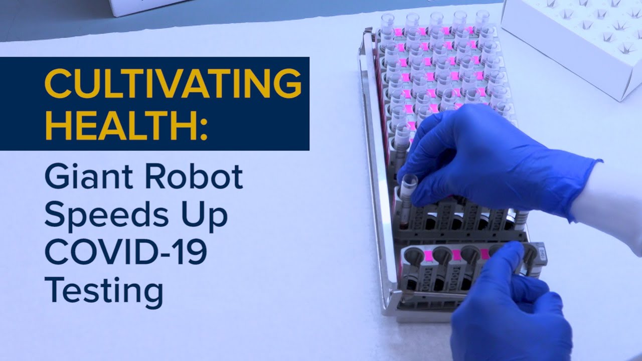 Thumbnail preview of Giant Robot Speeds Up COVID-19 Testing - Cultivating Health