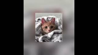 Cover art for I'd Rather Sleep (sped up)