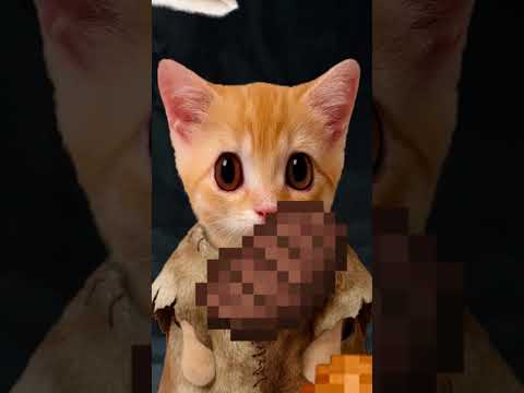 Зачем нужна жена? Кисы объясняют 😻