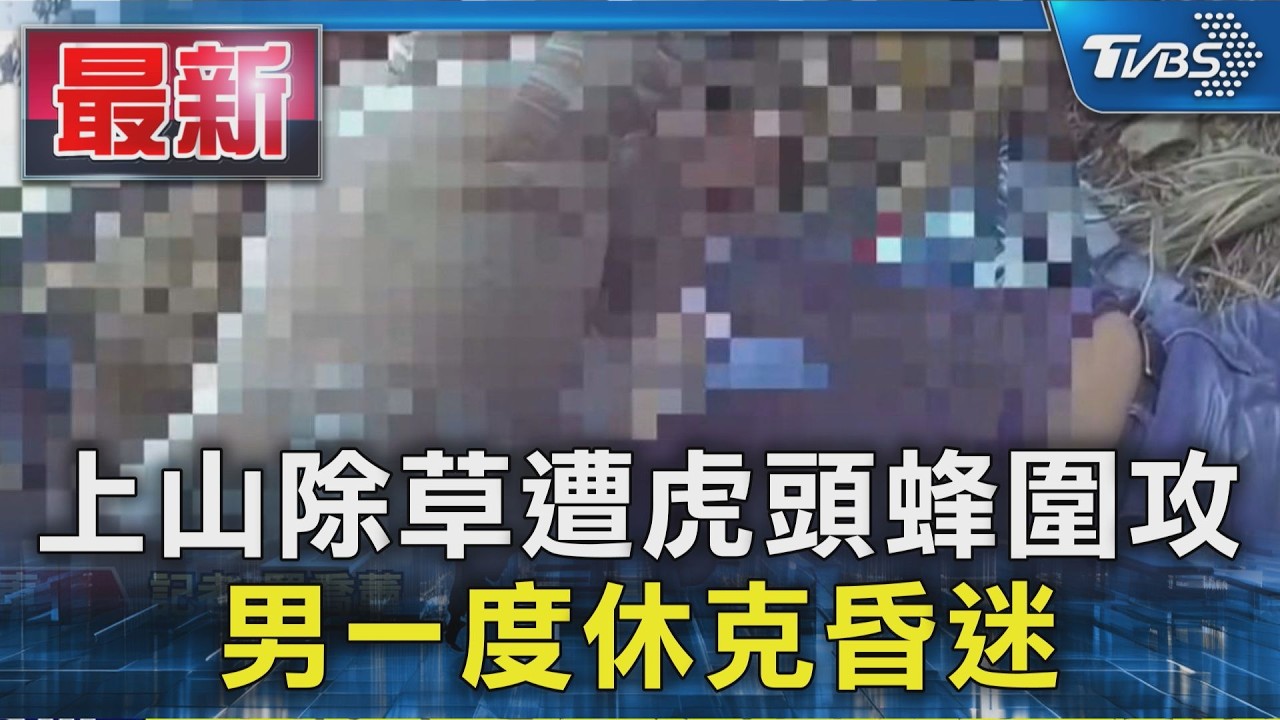上山除草遭虎頭蜂圍攻 男一度休克昏迷|TVBS新聞 @TVBSNEWS01