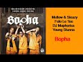 Bopha · Mellow & Sleazy · Felo Le Tee · DJ Maphorisa · Madumane · Young Stunna