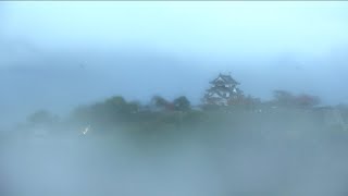 12月4日【びわ湖放送ニュース】冬本番　初雪の便りと、夏の代名詞が見ごろ