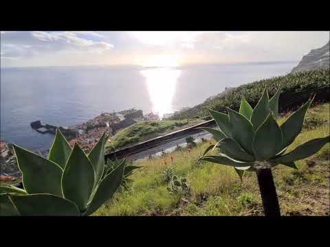 The Best of #Madeira 💥 Pearl of the Atlantic 2021