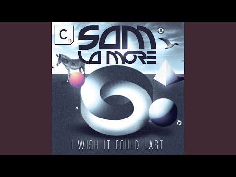 I Wish It Could Last (Original Mix)