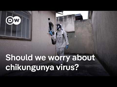 Chinese authorities attempt to limit spread of chikungunya virus | DW News