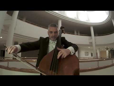 Domenico DRAGONETTİ - Twelve Waltzes