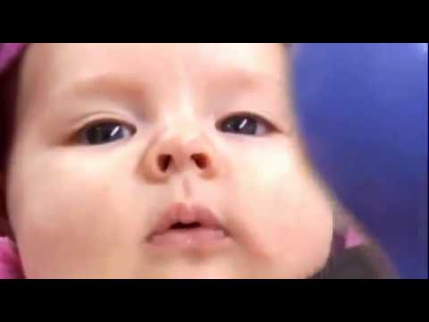 Inside the living Body