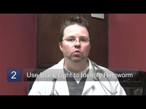 How to Identify Ringworm in a Canine