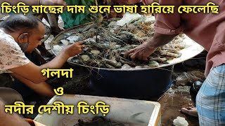 how to sell shrimp। how to sell shrimp wholesale। how to sell freshwater shrimp