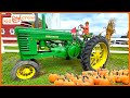 Playing at pumpkin patch with hayride, tractors, playground, train, animals. Educational | Kid Crew