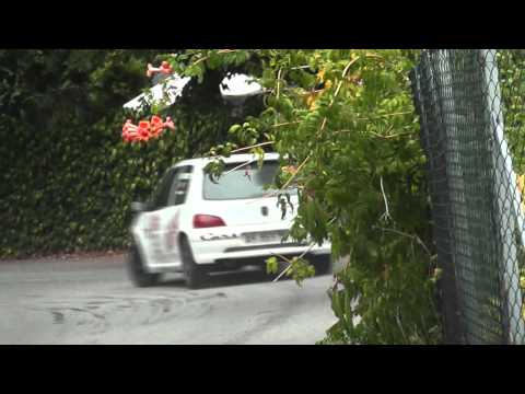 17° RALLY DI CAMAIORE 2011