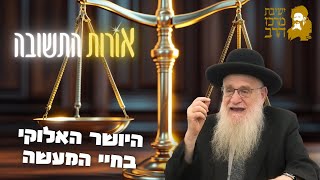 הרב יהושע מגנס | אורות התשובה | היושר האלוקי בחיי המעשה | א' חשון תשפ"ו | ישיבת מרכז הרב (ישיבת מרכז הרב) - התמונה מוצגת ישירות מתוך אתר האינטרנט יוטיוב. זכויות היוצרים בתמונה שייכות ליוצרה. קישור קרדיט למקור התוכן נמצא בתוך דף הסרטון הרב יהושע מגנס | אורות התשובה | היושר האלוקי בחיי המעשה | א' חשון תשפ"ו | ישיבת מרכז הרב (ישיבת מרכז הרב) - התמונה מוצגת ישירות מתוך אתר האינטרנט יוטיוב. זכויות היוצרים בתמונה שייכות ליוצרה. קישור קרדיט למקור התוכן נמצא בתוך דף הסרטון