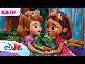 Sofia Makes New Royal Friends Sofia The First Royal Magic Disneyjr