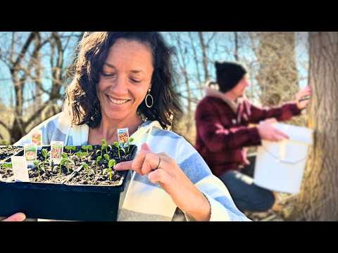 Year-Round Food: Simple Strategy for Abundant Harvests NOW