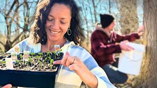 Our Plan to Grow a Year of Food STARTS NOW (simple strategies)