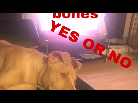 download lagu mp3 mp4 Ham Bones For Dogs Uk, download lagu Ham Bones For Dogs Uk gratis, unduh video klip Ham Bones For Dogs Uk